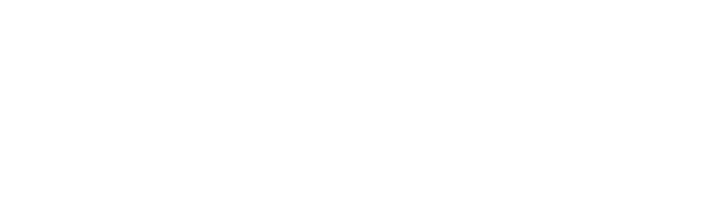Omnia STS